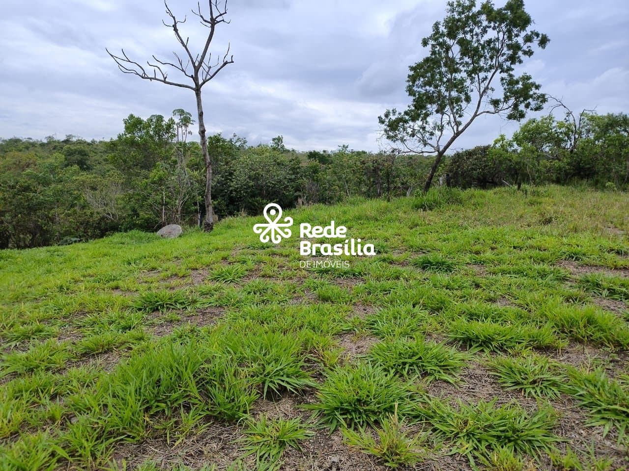 Imagem da propriedade DI739 11