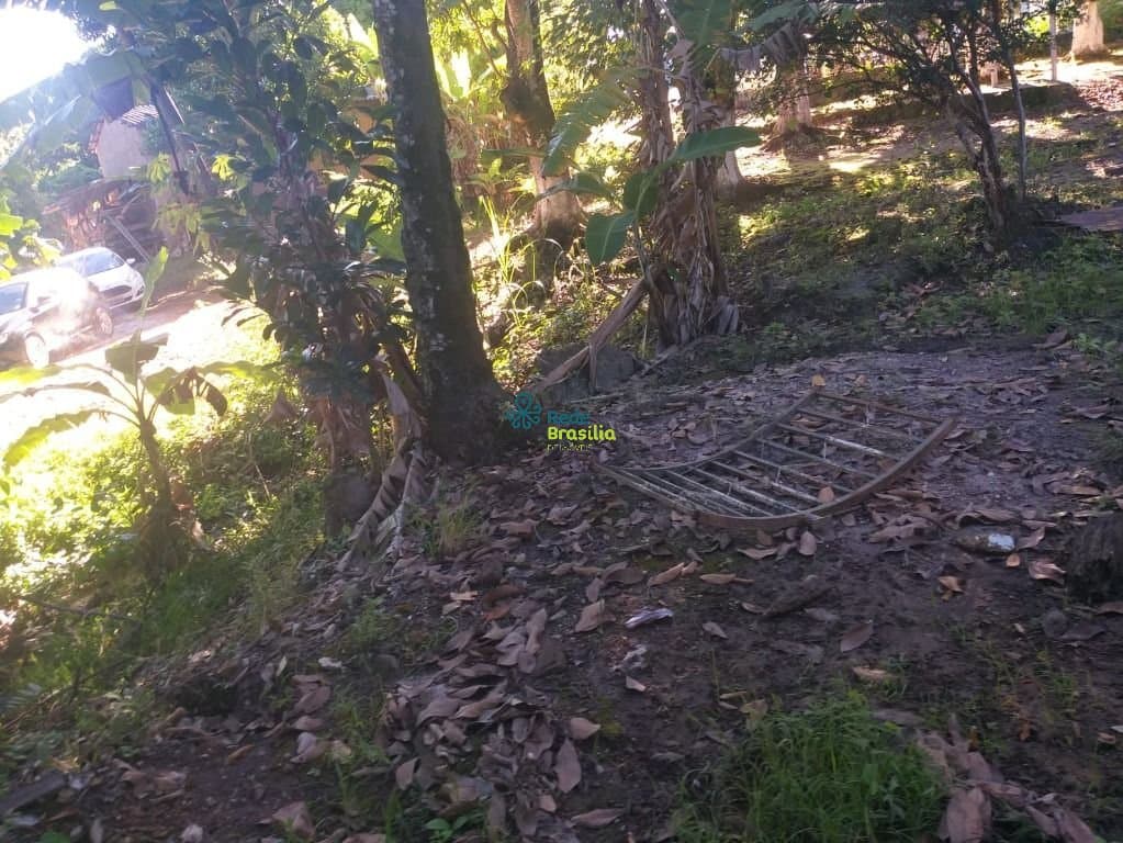 Imagem da propriedade CO8044 3
