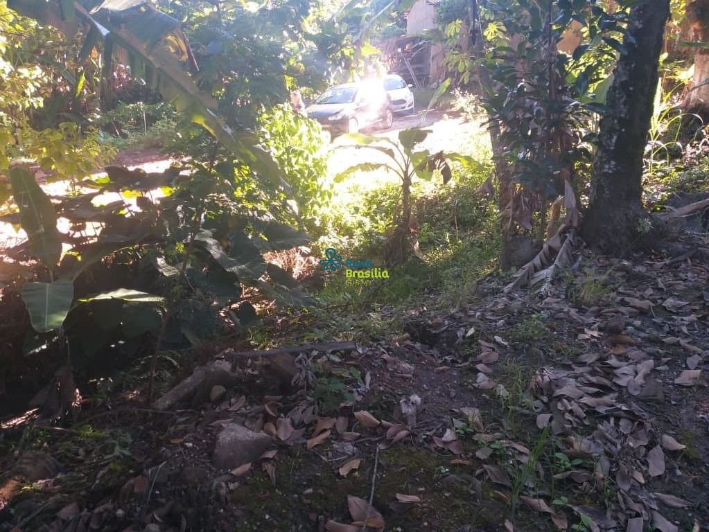 Imagem da propriedade CO8044 4