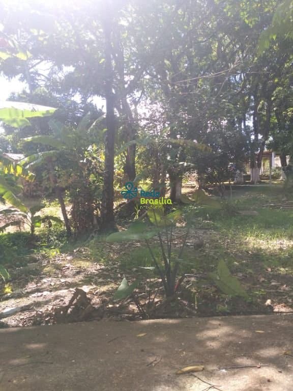 Imagem da propriedade CO8044 5