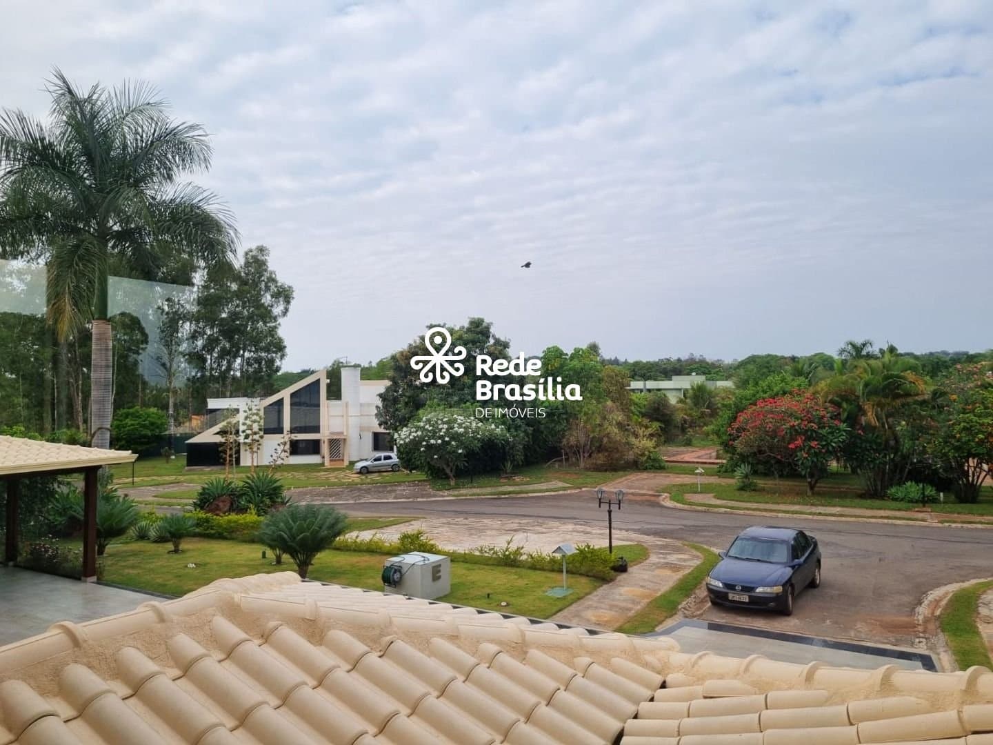 Imagem da propriedade DX65 18